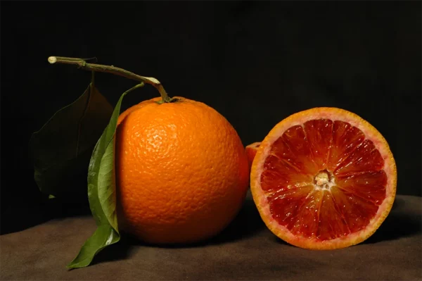 Arancia tarocco di Francofonte